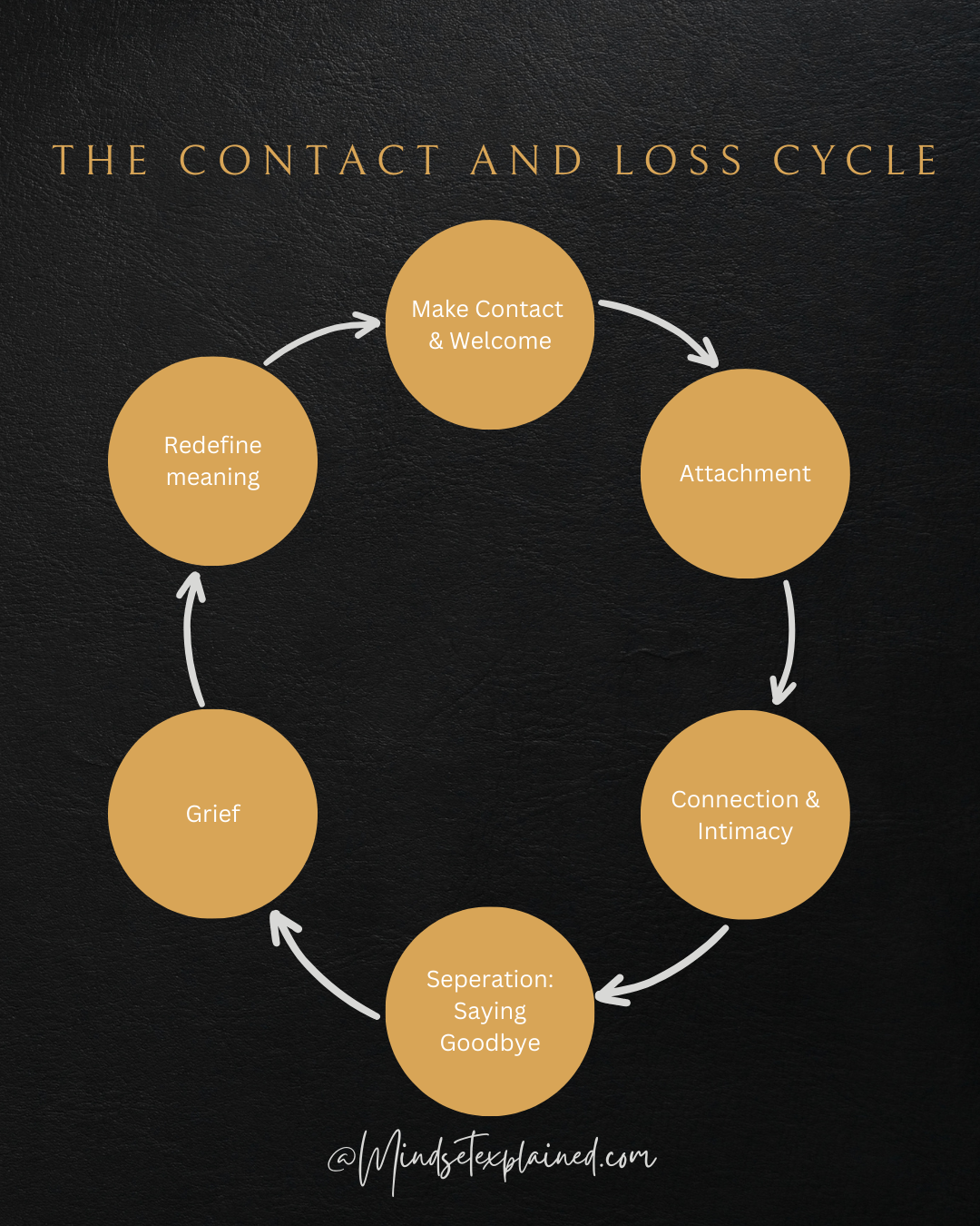 Contact and Loss Cycle A Roadmap from Connection to Grief